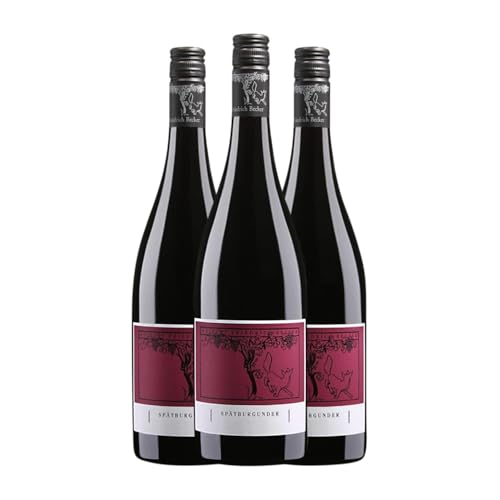 Friedrich Becker Spätburgunder Trocken Gutswein 75 cl Rotwein (Karton mit 3 Flaschen von 75 cl) von Friedrich Becker