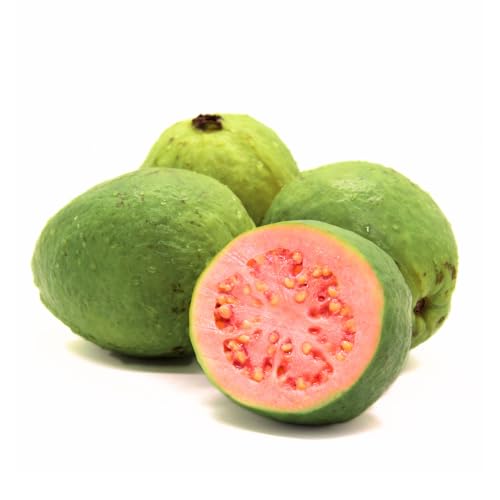Friche Kontor | Guaven | Frischer, saftiger Guavas | Exotisch, süß und voller tropischem Geschmack | Ideal für Säfte und Desserts | Nahrhaft, vielseitig und reich an Vitamin C - (1 Stück) von Frische Kontor