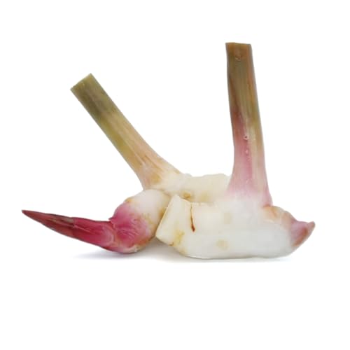 Frische Kontor | Galgant | Galanga Wurzel | Thai Ginger (100 g) von Frische Kontor
