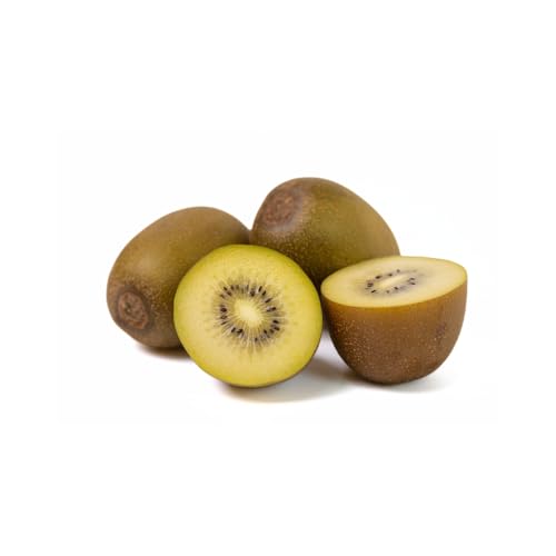 Frische Kontor | Kiwi | Frischer und saftiger Kiwi (Gold - 3 Stück) von Frische Kontor