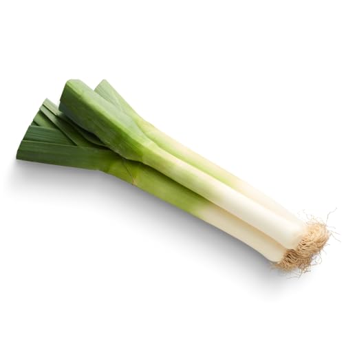 Frische Kontor | Lauch | Porree | Mild, aromatisch und vielseitig | Stangenlauch (2 Stück) von Frische Kontor