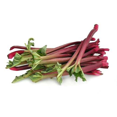 Frische Kontor | Rhababer | Fruchtig, säuerlich und frisch – ideal für Kompott, Kuchen und mehr. Saisonaler Genuss mit feiner Säure - (500 g) von Frische Kontor