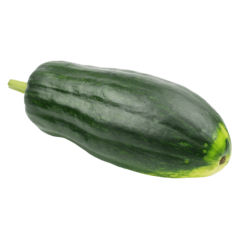 Bio Langer von Neapel Kürbis, 1 kg Bio Langer von Neapel Kürbis, 1 kg von Frischesortiment