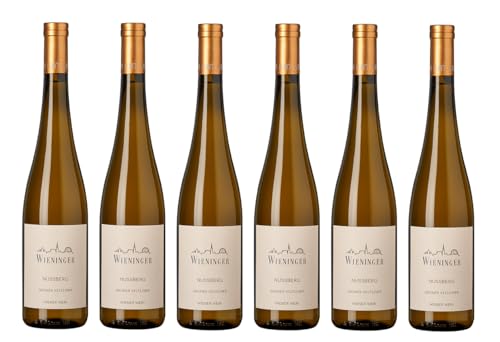 6x 0,75l - 2022er - Fritz Wieninger - Grüner Veltliner - Nussberg - Wien - Österreich - Weißwein trocken von Fritz Wieninger