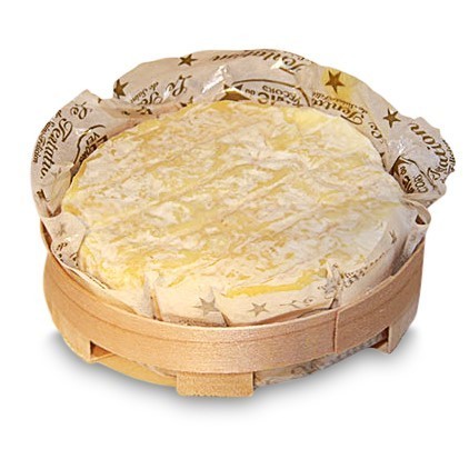 Saint Félicien fermier, Rohmilch, mind. 45% Fett i. Tr. von Fromagerie Enzingeard Mathieu