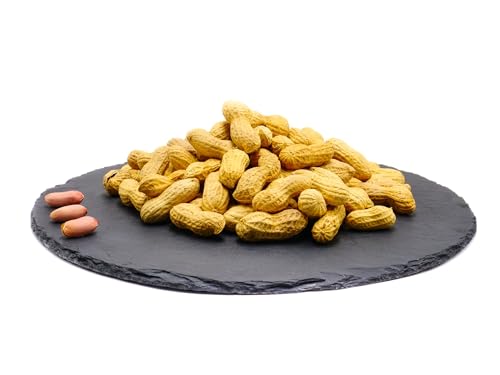 Erdnüsse in der Schale 100g | geröstet ohne Salz | 100g/250g/500g/1kg | ganze Erdnüsse mit Schale | Erdnuss | Erdnusskerne | leckerer Snack | von Frucht & Nuss Genuss