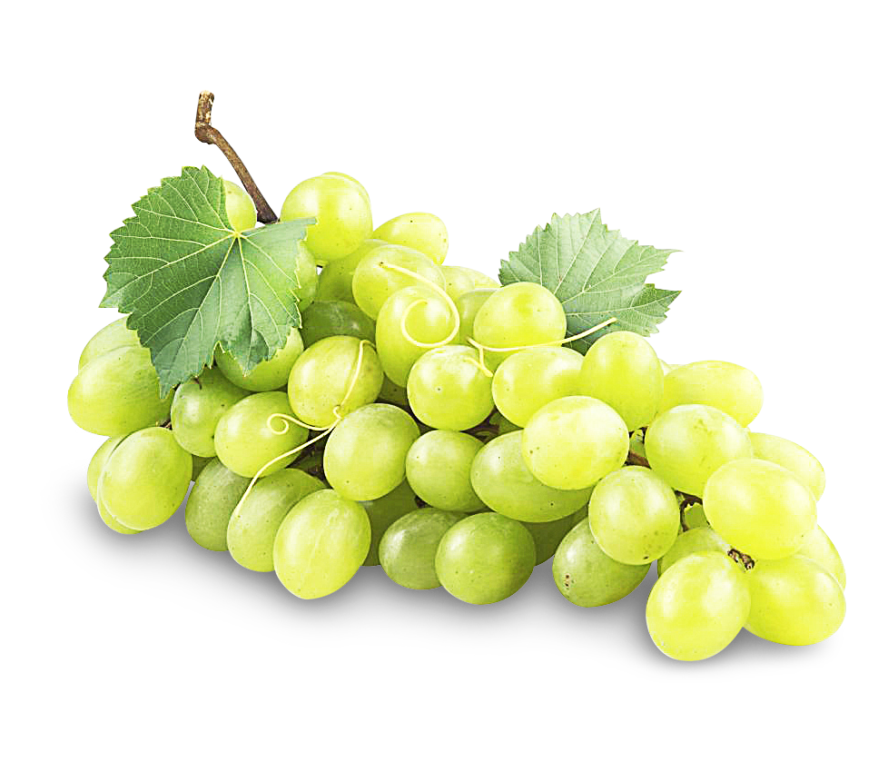 Trauben kernlos weiß Trauben kernlos weiß von Früchtewelt GmbH