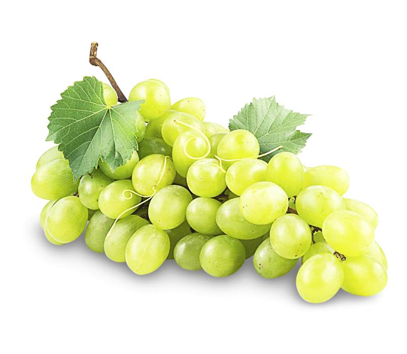 Trauben kernlos weiß von Früchtewelt GmbH