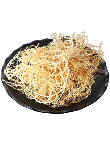 Getrocknetes Seemoos,Getrocknete Algen,Dried Sea moss, von Fujian Friday