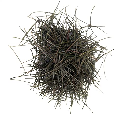 Natürliche Wildkiefernnadel für Tee Natürliche Wildkiefernnadel für Tee von Fujian Friday