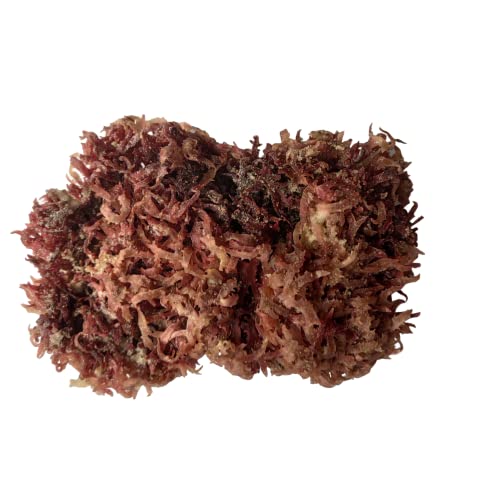 Rotes Meeresmoos, getrockneter Seetang, Salat, 200 g von Fujian Friday