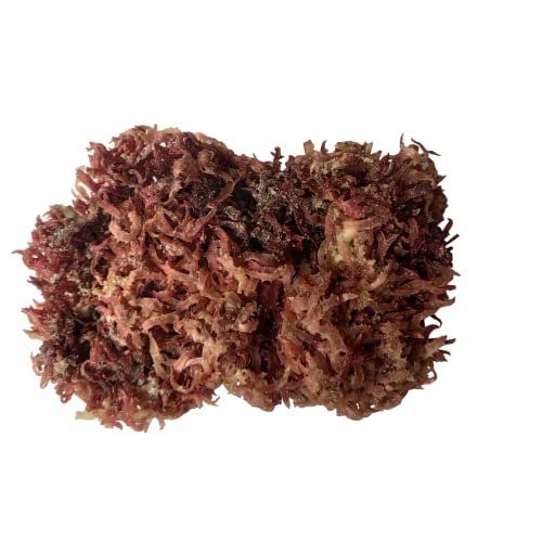 Rotes Meeresmoos, getrockneter Seetang, Salat, 200 g Rotes Meeresmoos, getrockneter Seetang, Salat, 200 g von Fujian Friday