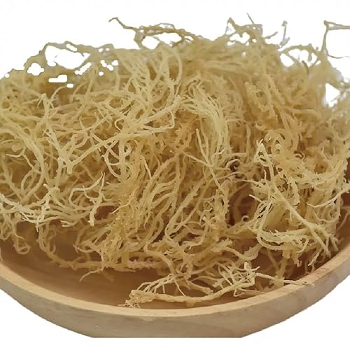 Sea Moss,Gold,Sun Dried,Raw 3.3lb(52 oz) von Fujian Friday
