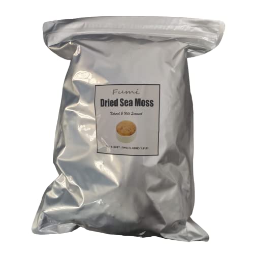 Seetangmoos Seetangsalat kalter Salat 500g Seetangmoos Seetangsalat kalter Salat 500g von Fujian Friday