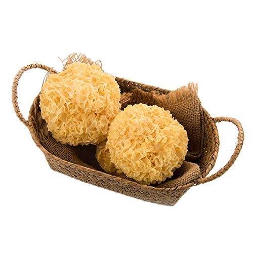Weißer Pilz, Silberohrpilz, getrocknet, für süße Suppe, 100 g Weißer Pilz, Silberohrpilz, getrocknet, für süße Suppe, 100 g von Fujian Friday