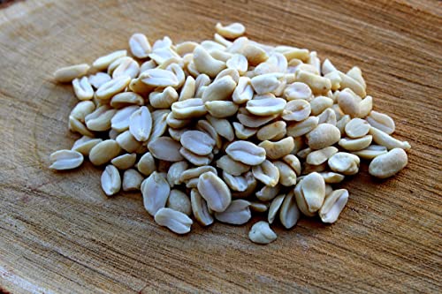 10 kg Erdnüsse weiß blanchiert ohne Schale/ohne Haut von Futterbauer 10 kg Erdnüsse weiß blanchiert ohne Schale/ohne Haut von Futterbauer von Futterbauer