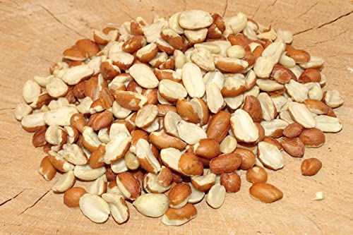 2x10kg Erdnusskerne teilblanchiert Vogelfutter 2x10kg Erdnusskerne teilblanchiert Vogelfutter von Futterbauer