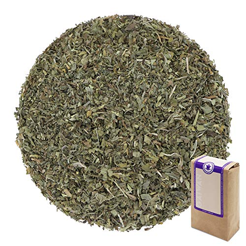 Nana Minze - Bio Kräutertee aus Ägypten, lose, 250g - GAIWAN Tee Nr. 1100 von GAIWAN