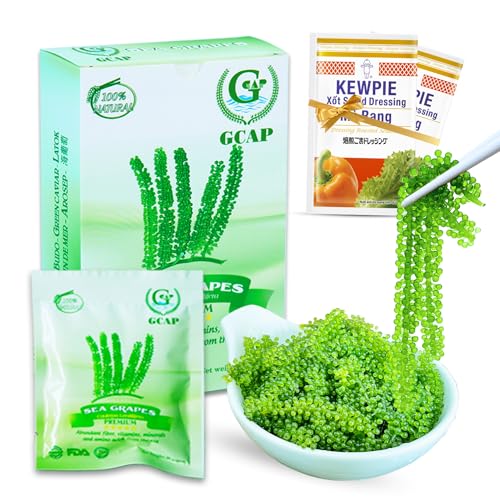 GCAP Salted sea grapes – PREMIUM – Dehydrated seaweed, Umibudo, Green Caviar, Lato seaweed - a great superfood for your health (4.23 OZ of 6 packs) von GCAP