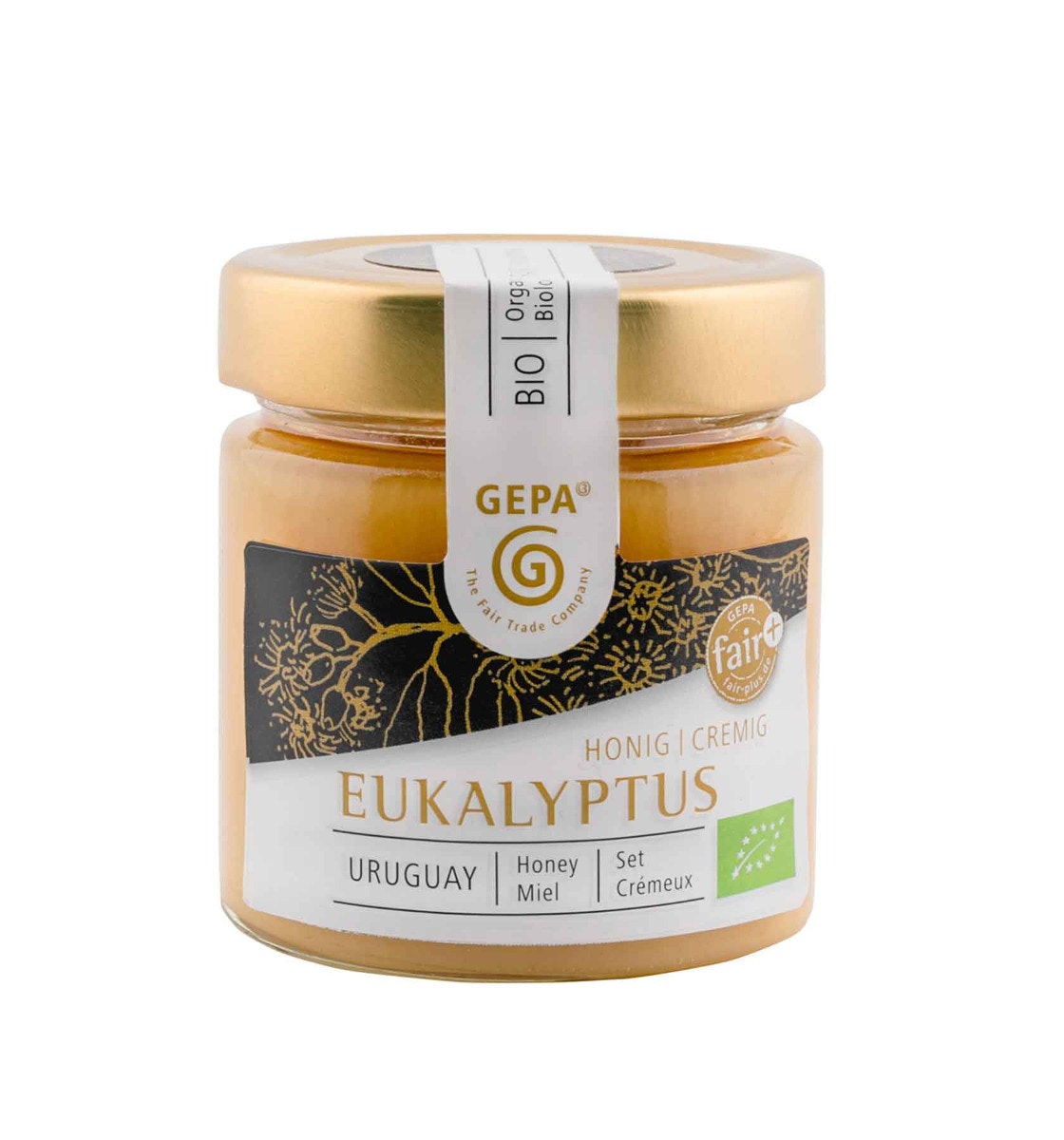 Bio Eukalyptus Honig 250g cremig von GEPA