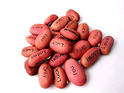 GETSO Samen-Paket Nicht Pflanzen: 5 X Red Magic Beans mit zufälliger Mess. Spaß und Geschenk für Freunde und Kinder von GETSO