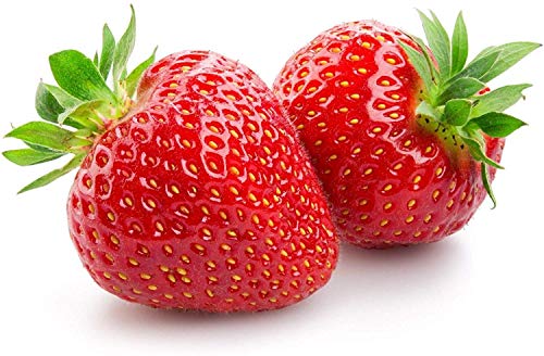 GETSO Samen-Paket Nicht Pflanzen: 5 X SeedSeeds Honeoye Frühe Jahreszeit GETSO Samen-Paket Nicht Pflanzen: 5 X SeedSeeds Honeoye Frühe Jahreszeit von GETSO