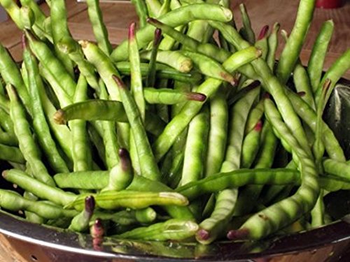 GETSO Samen-Paket Nicht Pflanzen: 50 - Samen: Altmodische Black Eyed Peas - Kräftige, ertragreiche s !! mmm GETSO Samen-Paket Nicht Pflanzen: 50 - Samen: Altmodische Black Eyed Peas - Kräftige, ertragreiche s !! mmm von GETSO