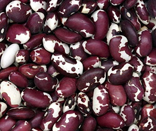 GETSO Samen-Paket Nicht Pflanzen: 50 - Seeds: Anasazi Bean Seeds - Atemberaubende Burgunder und -Farbe Sprenkel !! Köstlich!!! GETSO Samen-Paket Nicht Pflanzen: 50 - Seeds: Anasazi Bean Seeds - Atemberaubende Burgunder und -Farbe Sprenkel !! Köstlich!!! von GETSO
