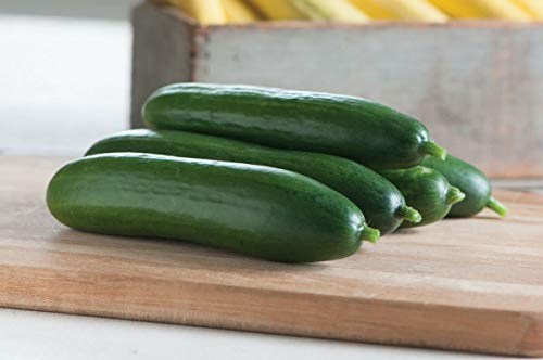 GETSO Samen-Paket Nicht Pflanzen: 50 - Seeds: Diva F1Seeds - kräftig, krankheitsresistenten Samen, Burpless auch !! GETSO Samen-Paket Nicht Pflanzen: 50 - Seeds: Diva F1Seeds - kräftig, krankheitsresistenten Samen, Burpless auch !! von GETSO