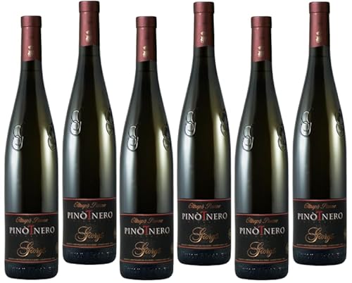 GIORGI PINOT NERO ROSÉ SCHAUMWEIN OLTREPO' PAVESE DOC 75 CL 6 FLASCHEN GIORGI PINOT NERO ROSÉ SCHAUMWEIN OLTREPO' PAVESE DOC 75 CL 6 FLASCHEN von GIORGI