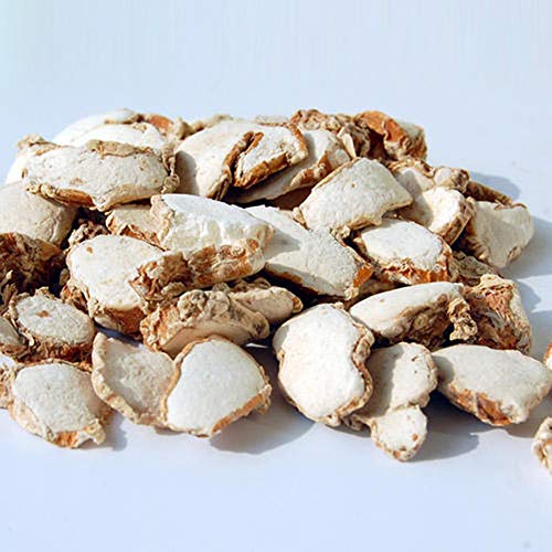 GLORIOUS INHERITING / BAIGUZHENZHEN Asiatische Herkunft naturlich Rhizoma Kaempferiae der allgemeinen Große mit Netzbeutel von 1,000 gramm GLORIOUS INHERITING / BAIGUZHENZHEN Asiatische Herkunft naturlich Rhizoma Kaempferiae der allgemeinen Große mit Netzbeutel von 1,000 gramm von GLORIOUS INHERITING