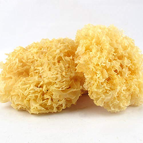 GLORIOUS INHERITING/BAIGUZHENZHEN Asiatische Herkunft naturlich getrocknete weiße Tremella der allgemeinen Große mit Netzbeutel von 500 gramm von GLORIOUS INHERITING