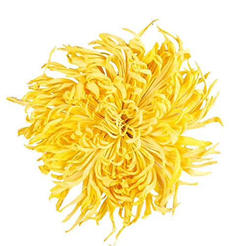 GLORIOUS INHERITING / BAIGUZHENZHEN Asiatischer Ursprung duftend getrockneter goldenes Chrysantheme mit Netzbeutel von 1,000 gramm von GLORIOUS INHERITING