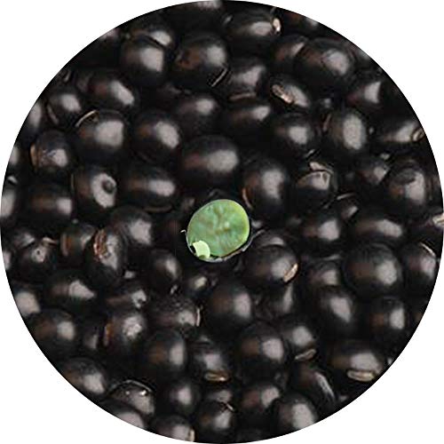GLORIOUS INHERITING/BAIGUZHENZHEN Einzelhandel Schwarze Bohnen mit grunem Kernel Allgemeine Grosse mit Netzbeutel von 500 gramm von GLORIOUS INHERITING