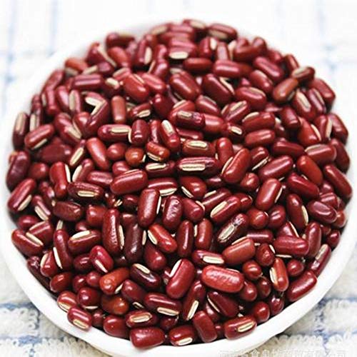 Glorious Inheriting Einzelhandel naturliche und grische Adzuki Bohne der allgemeinen Große mit Netzbeutel von 1000 gramm Glorious Inheriting Einzelhandel naturliche und grische Adzuki Bohne der allgemeinen Große mit Netzbeutel von 1000 gramm von GLORIOUS INHERITING