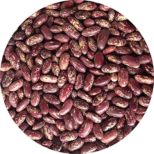 GLORIOUS INHERITING / BAIGUZHENZHEN Einzelhandel naturliche und grische lila Kidneybohne der allgemeinen Große mit Netzbeutel von 500 gramm GLORIOUS INHERITING / BAIGUZHENZHEN Einzelhandel naturliche und grische lila Kidneybohne der allgemeinen Große mit Netzbeutel von 500 gramm von GLORIOUS INHERITING
