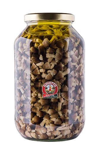 Galfrè Antipasti d’Italia - Große Endverbraucher - Glas Pilze Moss Kg 4,1 - Italienisch Artisan Produkt von Galfrè