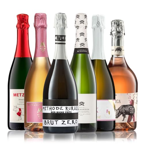 GEILE WEINE Weinpaket SEKT trocken (6 x 0.75) Probierpaket mit Weisswein-Sekt & Rosé-Sekt von Winzern aus Deutschland, Italien und Frankreich von GEILE WEINE