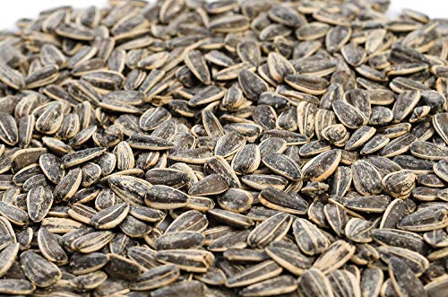 10 kg. Grosse Sonnenblumenkerne geröstet gesalzen - frisch und lecker 10 kg. Grosse Sonnenblumenkerne geröstet gesalzen - frisch und lecker von Generic