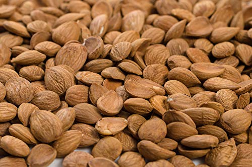 20 kg. Aprikosenkerne Natur Roh Aprikose Kern - frisch und lecker 20 kg. Aprikosenkerne Natur Roh Aprikose Kern - frisch und lecker von Generic