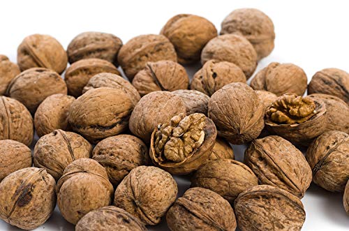 25 kg. Walnüsse in der Schale - roh, unverarbeitet, 100% natur, lecker und gesund 25 kg. Walnüsse in der Schale - roh, unverarbeitet, 100% natur, lecker und gesund von Generic