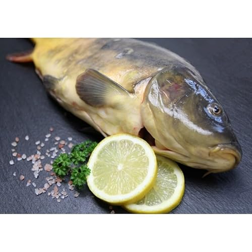 Frischer Spiegelkarpfen | Frisch für Sie geschlachtet | küchenfertig | fangfrisch | ausgenommen mit Kopf | ca. 1,1kg- 1,5kg Frischer Spiegelkarpfen | Frisch für Sie geschlachtet | küchenfertig | fangfrisch | ausgenommen mit Kopf | ca. 1,1kg- 1,5kg von Generic