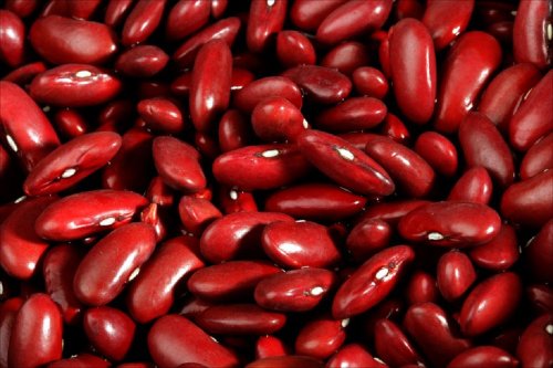 Heirloom Non GMO Dark Red Kidney Beans 25 Seeds: Only seeds Heirloom Non GMO Dark Red Kidney Beans 25 Seeds: Only seeds von Generic