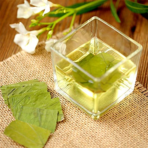 Lotus Blatt Kräutertee China Original Dufttee Guter Tee Natürlicher Bio-Blumentee Grünes Essen ohne Zusatzstoffe Kräutertee (250g) von Generic