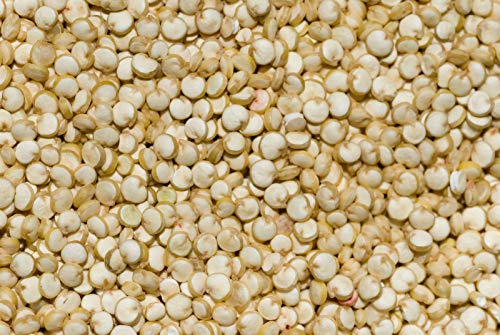 Portal Cool 600 Bianco Quinoa semi di cereali Nt von Generic