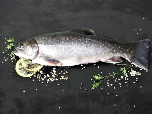 Saibling Frischfisch | küchenfertig | ganzer fangfrischer Fisch | frisch für Sie geschlachtet | ausgenommen mit Kopf | ca. 350 g von Generic