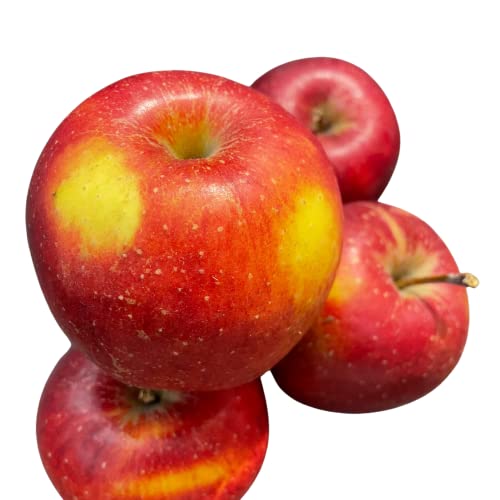 Wellant Äpfel, Saftige und Süße Früchte - Allergikerfreundliche Frische Äpfel Aus Dem Hamburger Alten Land mit Fruchtigem Aroma - Perfekt Zum Kochen und Backen von Generic