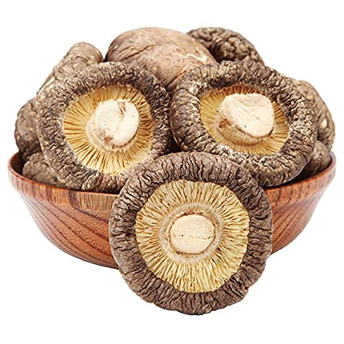 Winterpilz Pilze Trockener Shiitake Essbare Pilze Sind Köstlich Nahrhaft (250g) von Generic