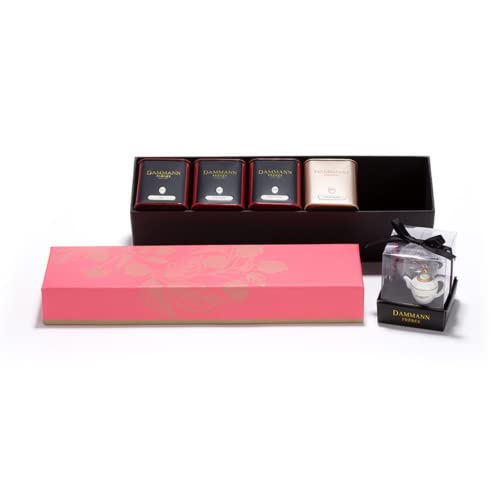 Dammann-Brüder | Promenadenbox | Aromatisierte Teebox in 4 Geschmacksrichtungen + Teesieb | Blatt-Tee-Geschenkbox | Loser grüner und schwarzer Tee in Metalldosen - 120 gr | Tee-Geschenkbox von Generico