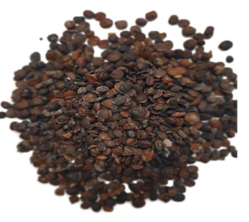 Soumbala (Sumbara, Netetou) Körner – Traditionelles Gewürz 100% natürlich – Ideal für Saucen, Eintöpfe & afrikanische Gerichte – 50 g von Générique